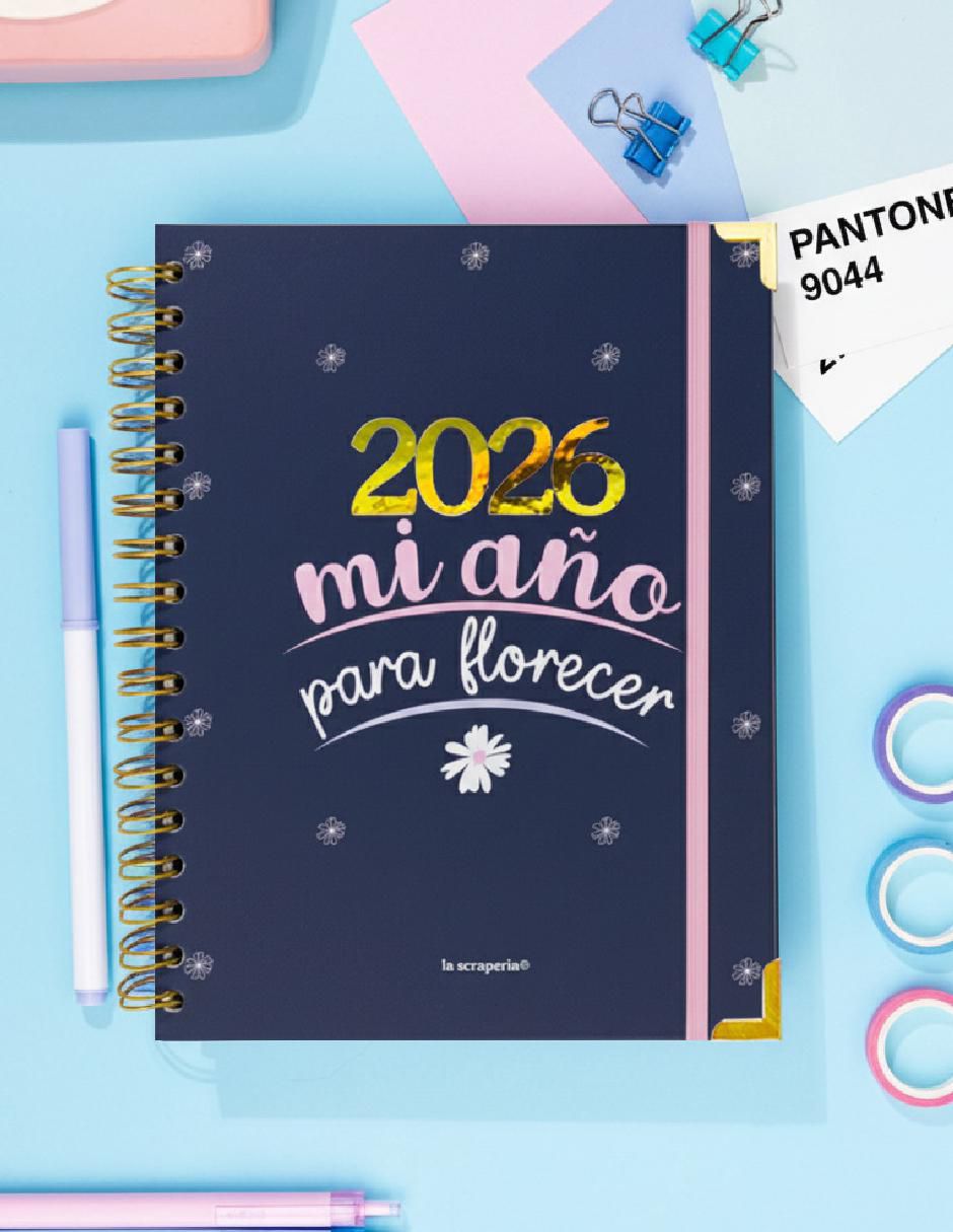 Agenda 7