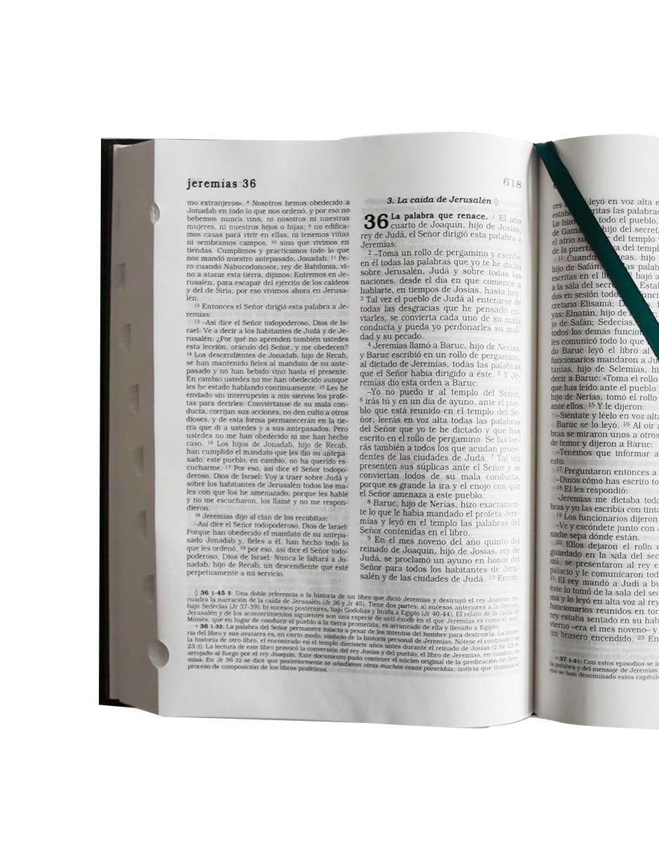 Libro La biblia Católica de No aplica 4