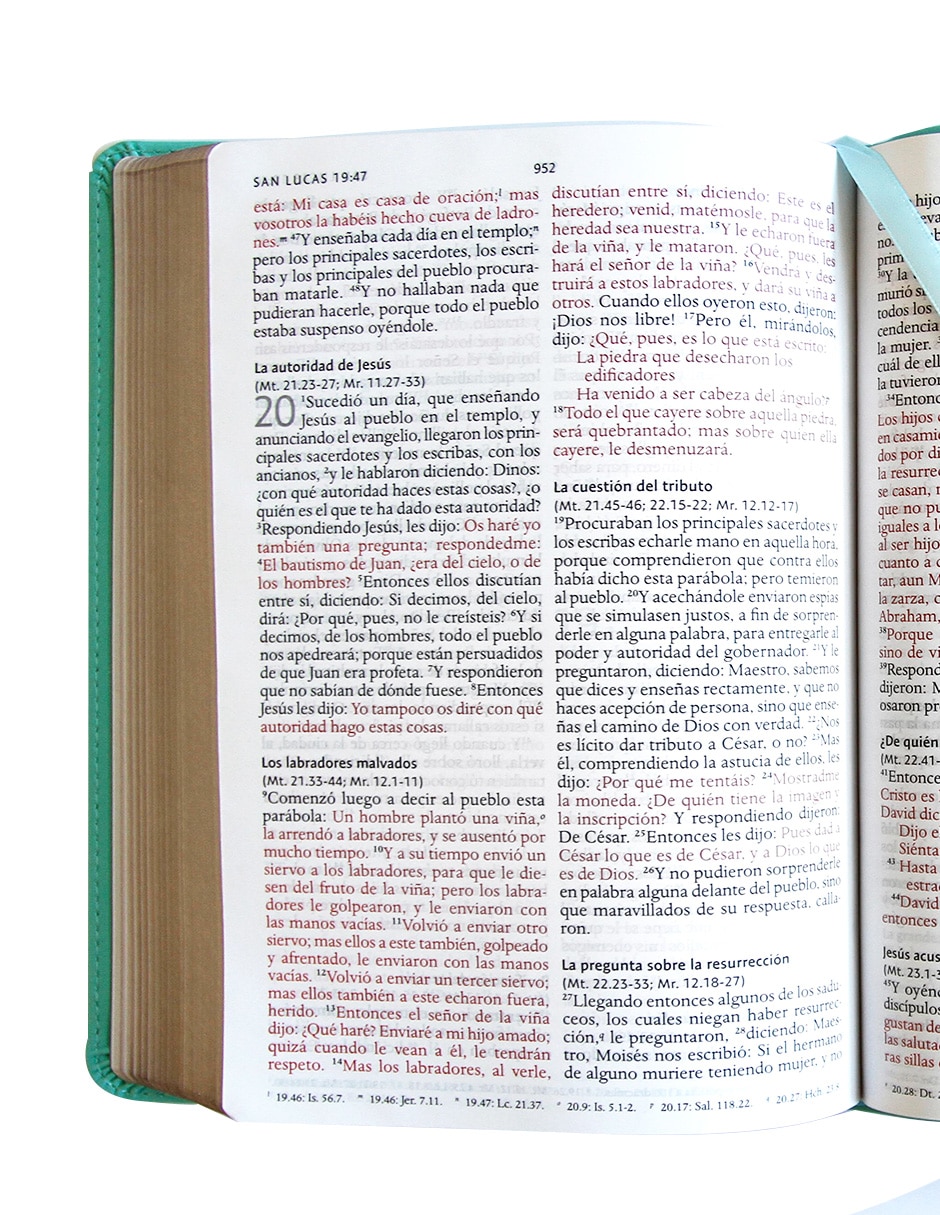Libro Biblia RVR 1960 Edición Especial Símil Piel con Solapa e Imán de Reina Valera