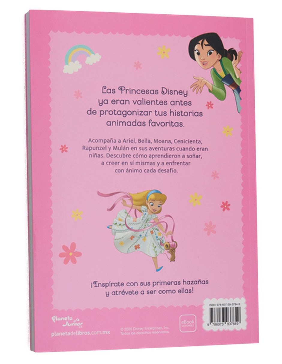 Libro Disney princesas erase una vez una princesa valie de Disney