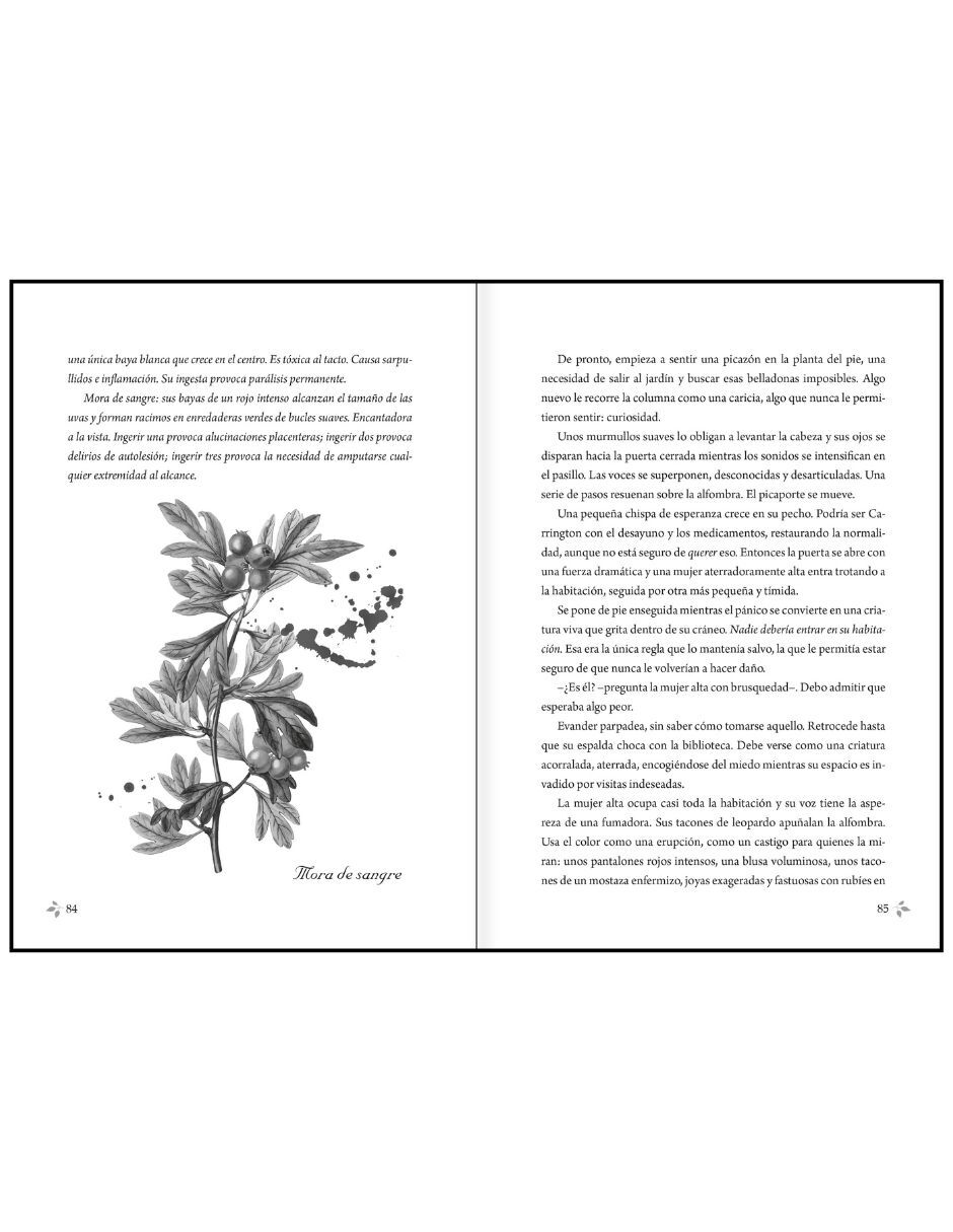 Libro Hazelthorn de Cg Drews 4