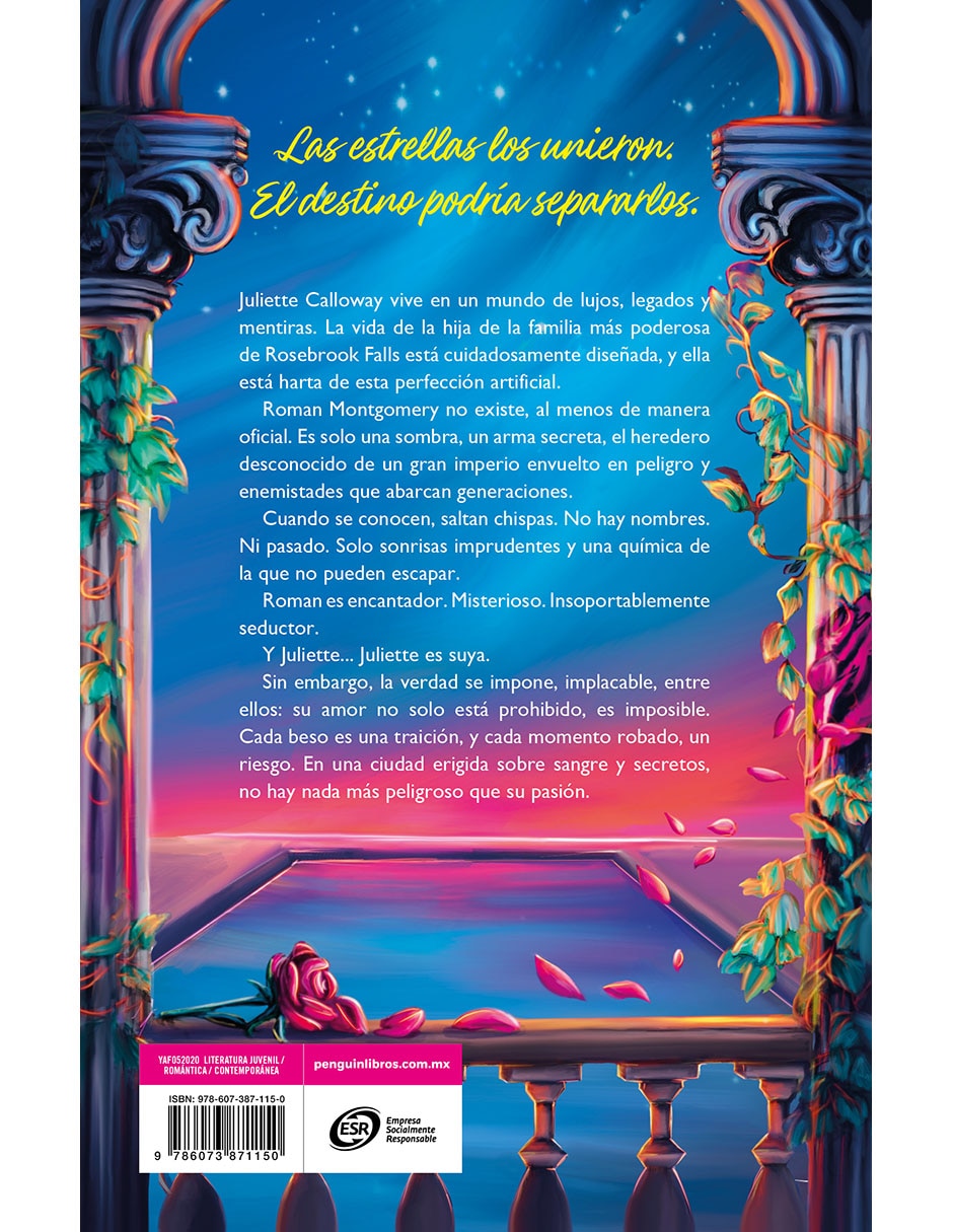 Libro Quemando la Luz del Día de Emily Mcintire