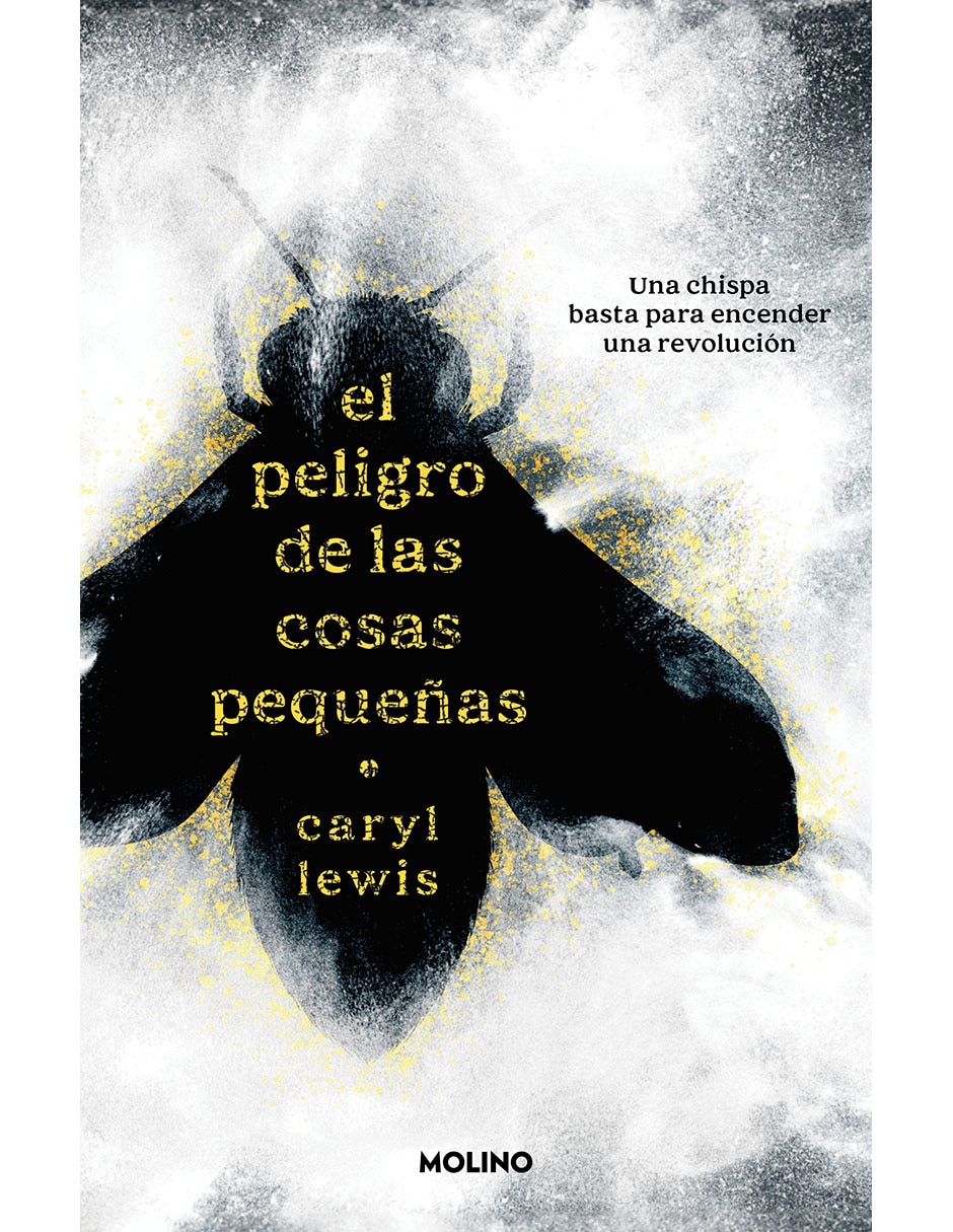 Libro El Peligro de Las Cosas Pequeñas de Caryl Lewis 1