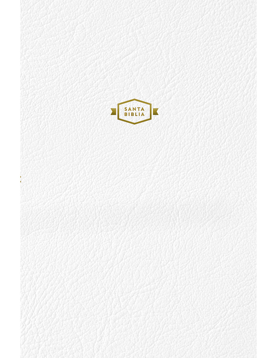 Libro Biblia Rvr1960 para Regalo y Premios Blanca de Reina Valera Revisada 1