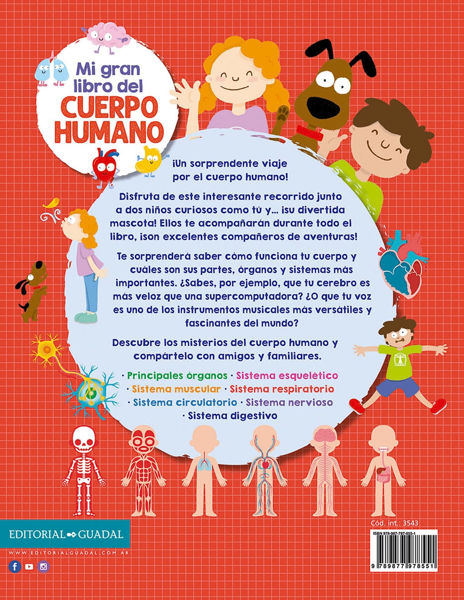 Libro Mi Gran Libro Del Cuerpo Humano de Editorial Guadal 2