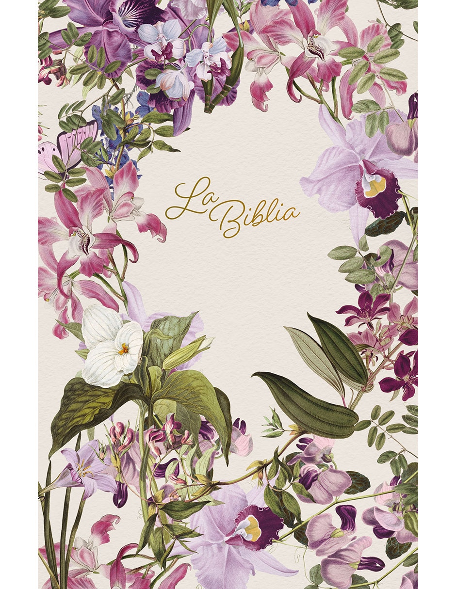 Libro Biblia Cat—lica Hardcover Con Flores de Biblia de AmŽrica Libro Biblia Cat—lica Hardcover Con Flores de Biblia de AmŽrica