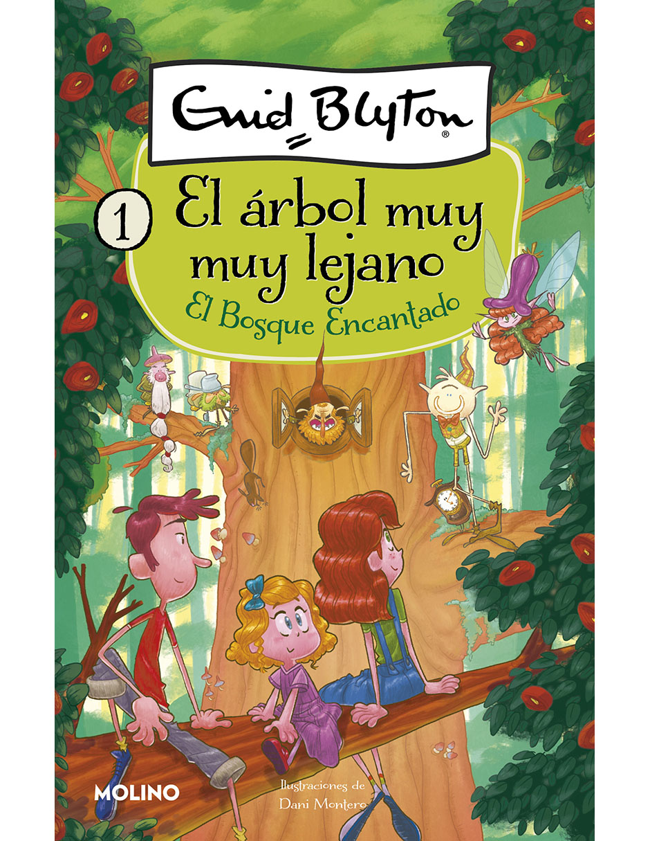 Libro/estuche con libros el bosque encantado de Enid Blyton 1