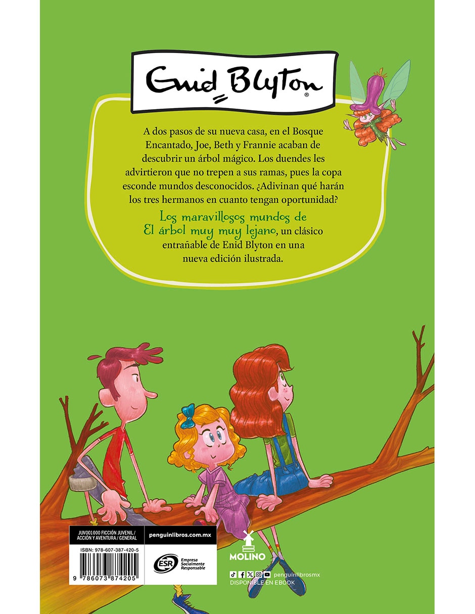 Libro/estuche con libros el bosque encantado de Enid Blyton Libro/estuche con libros el bosque encantado de Enid Blyton