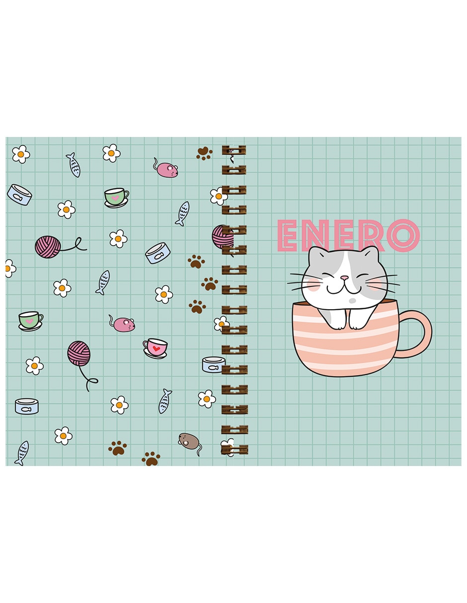 Agenda chicas tazas 2
