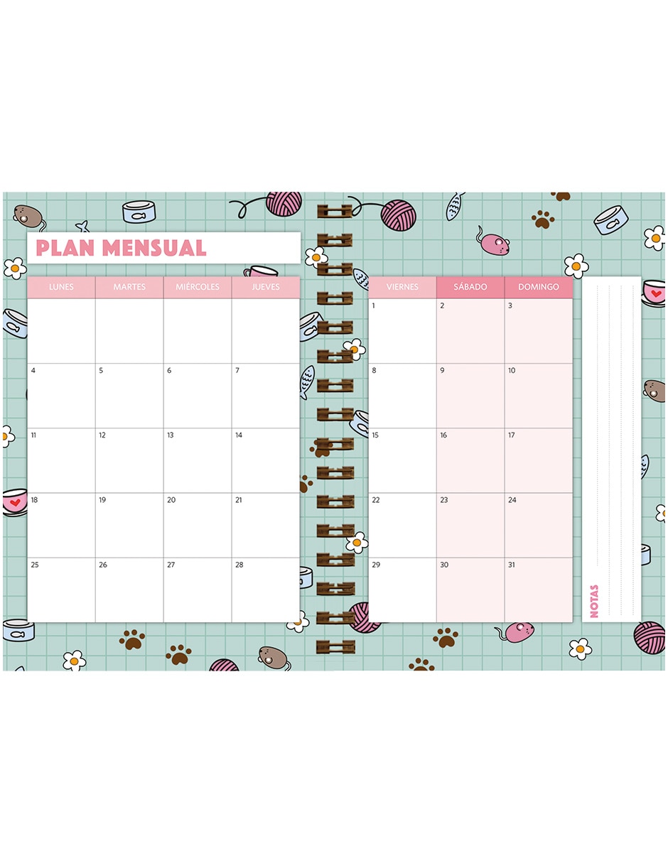 Agenda chicas tazas 3