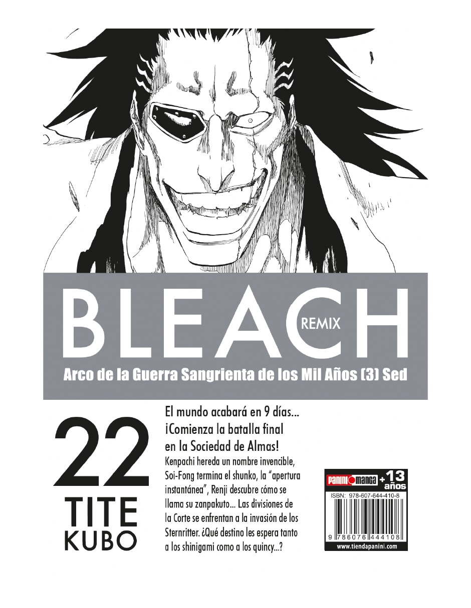 Manga bleach remix n.21
