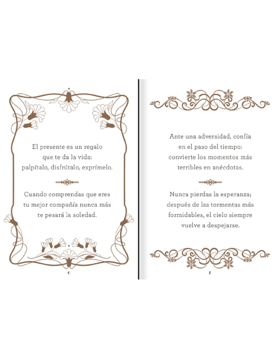 Libro Guía Definitiva Para Disfrutar La Vida Nv De Palavecino Alba 2