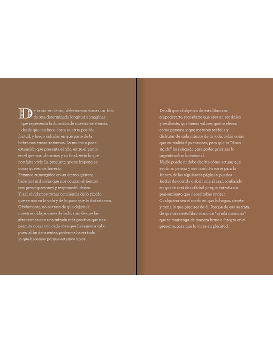 Libro Guía Definitiva Para Disfrutar La Vida Nv De Palavecino Alba