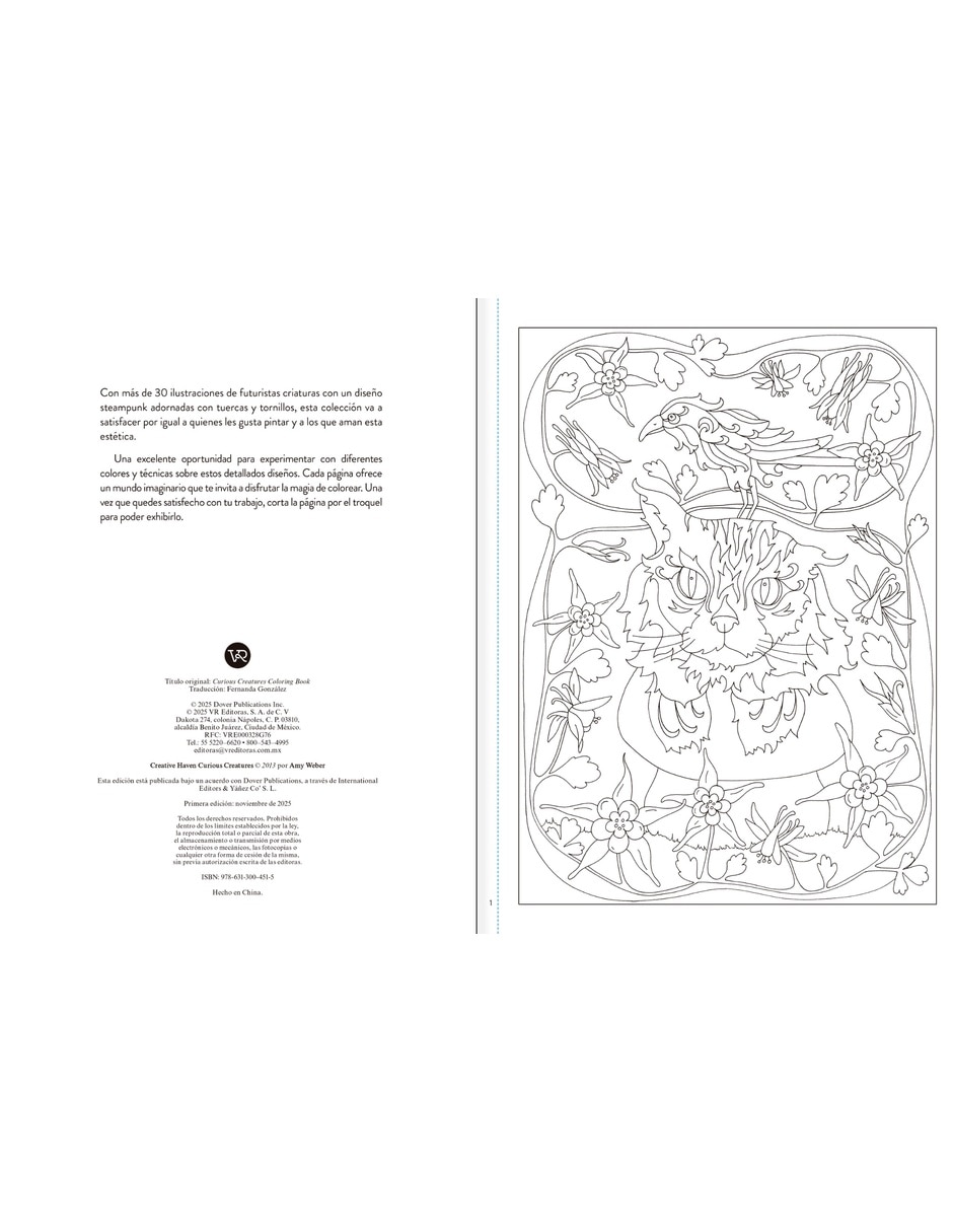 Libro Arte Para Colorear. Pinta Tus Propios Diseños De Criaturas Curiosas De Weber Amy 2