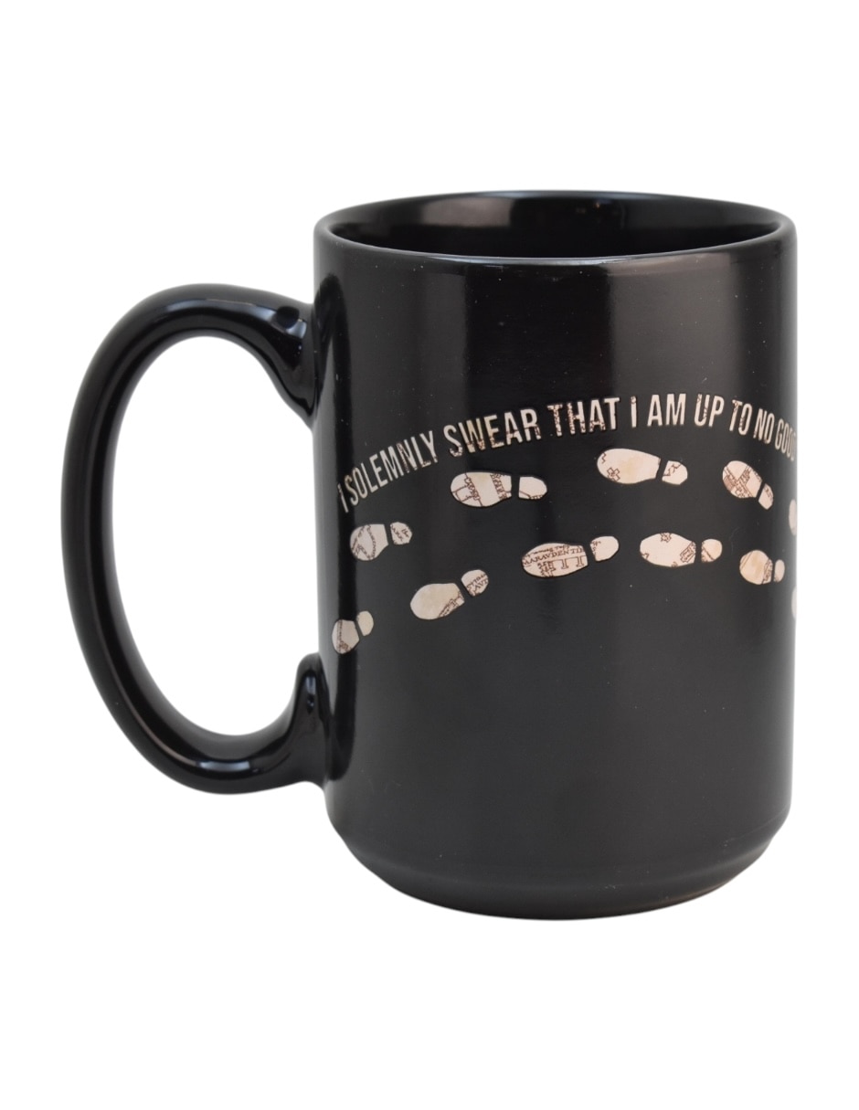 Taza de colección harry potter 5