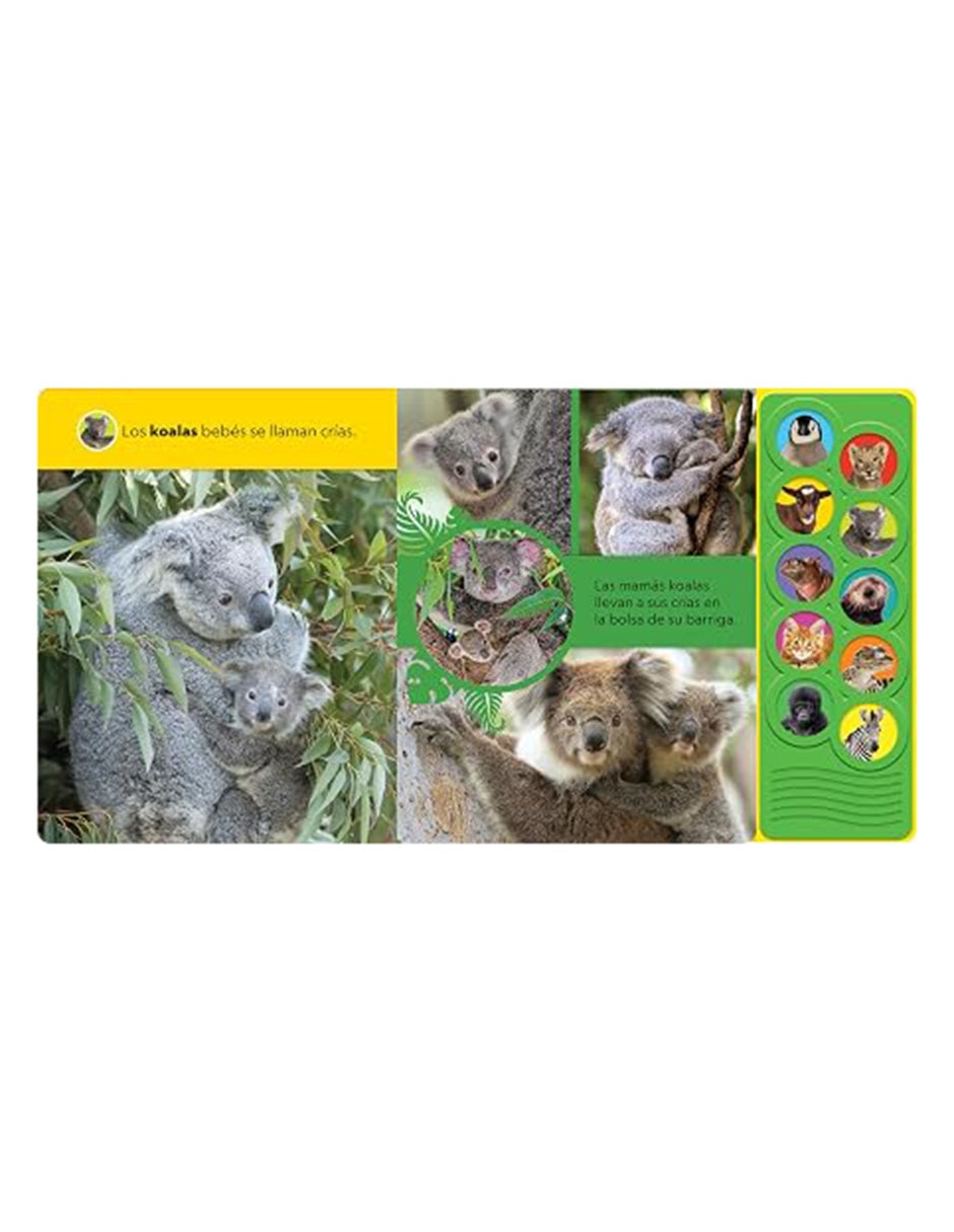 Libro ¡Animales bebés! de National Geographic Kids 3