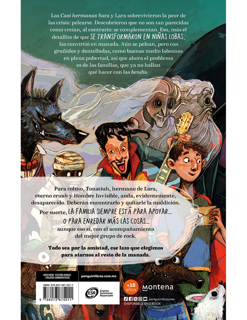 LIBRO CASI FAMILIA de ANA ROMERO 2