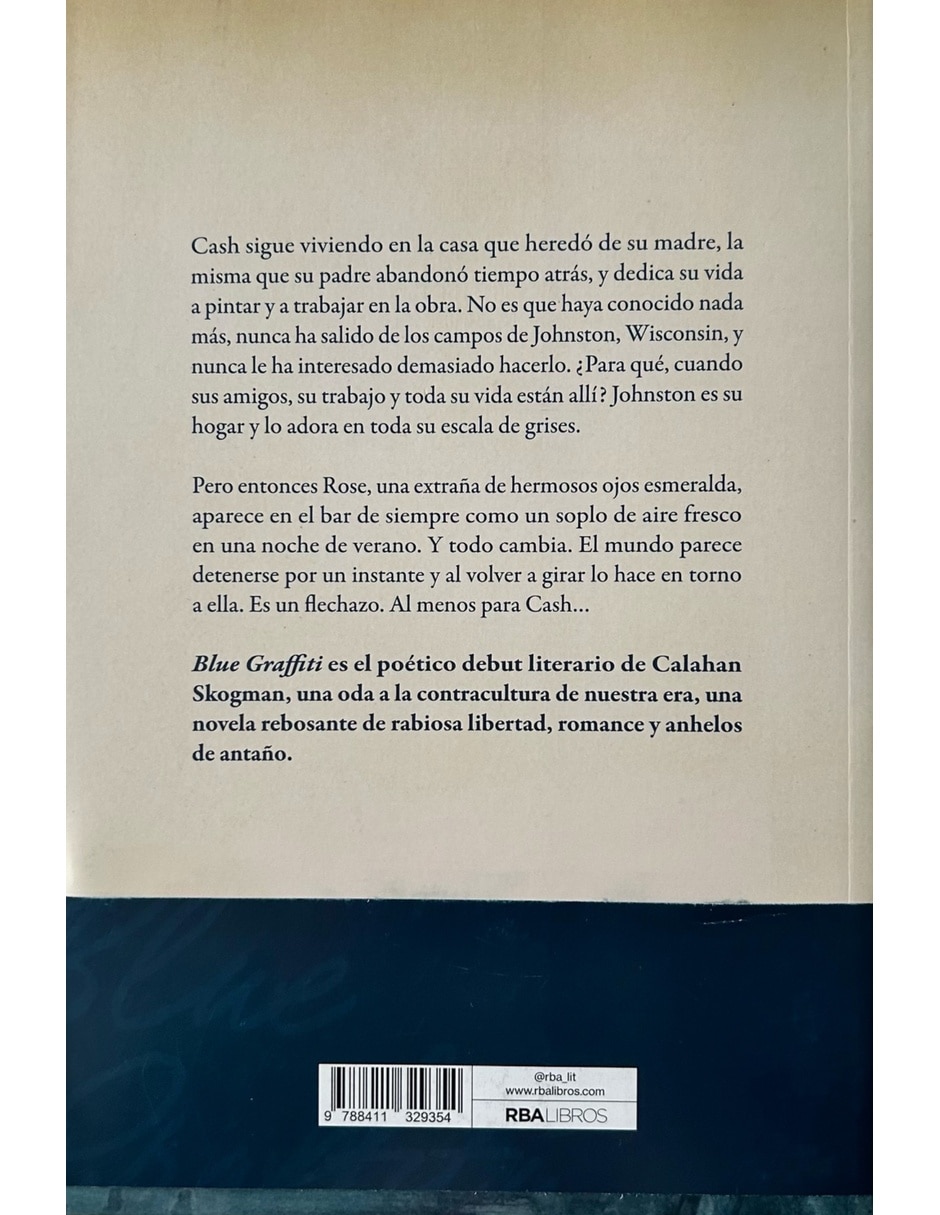 Libro Blue Graffiti de Calahan Skogman 3