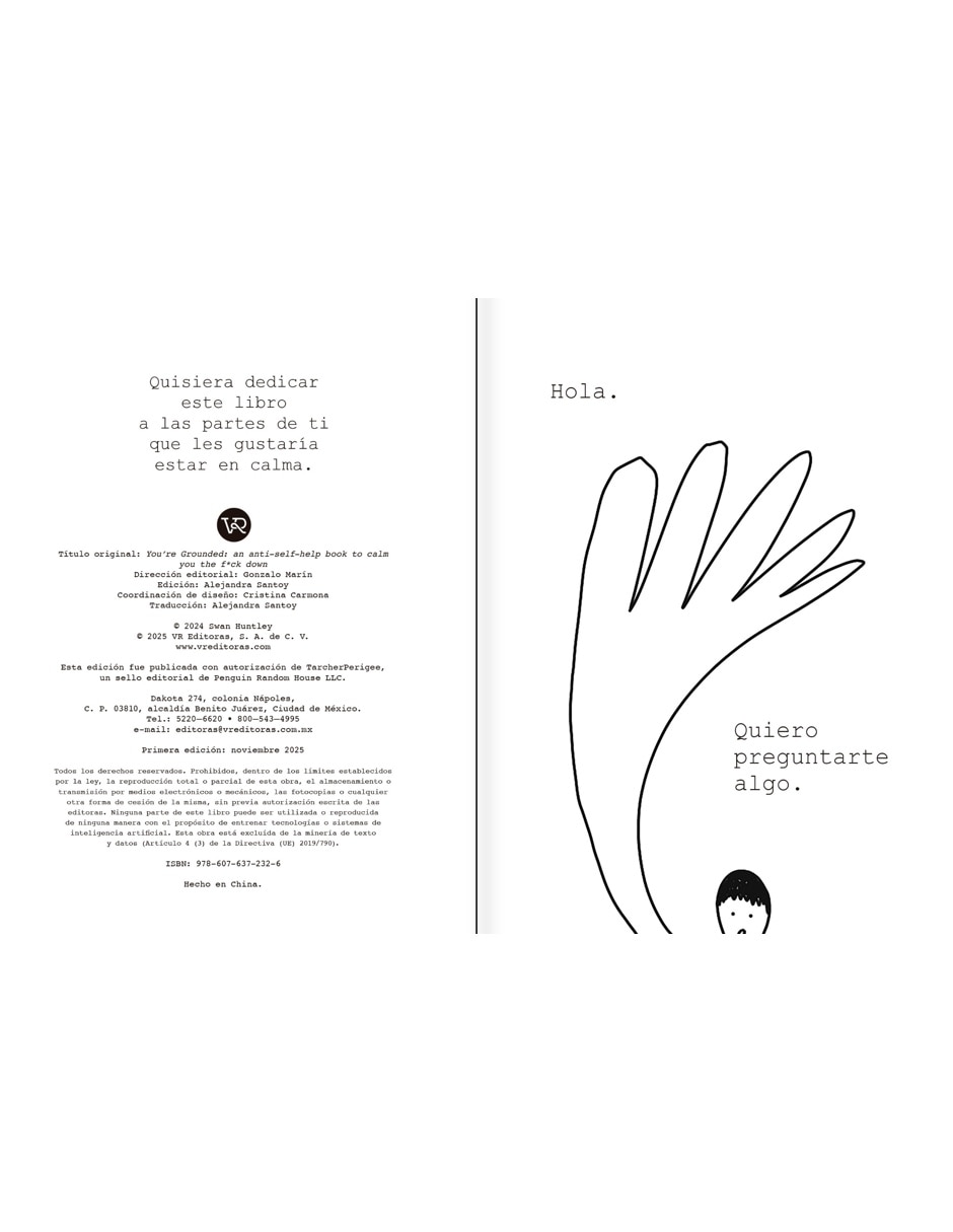 Libro Con los pies en la tierra de Swan Huntley 3