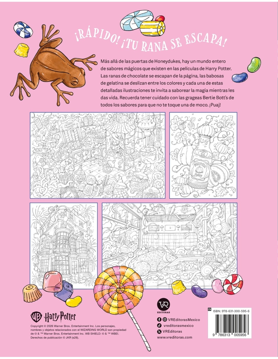 Libro Harry Potter Dulces Y Trucos el libro oficial para colorear de Maryna Kostiushko 2