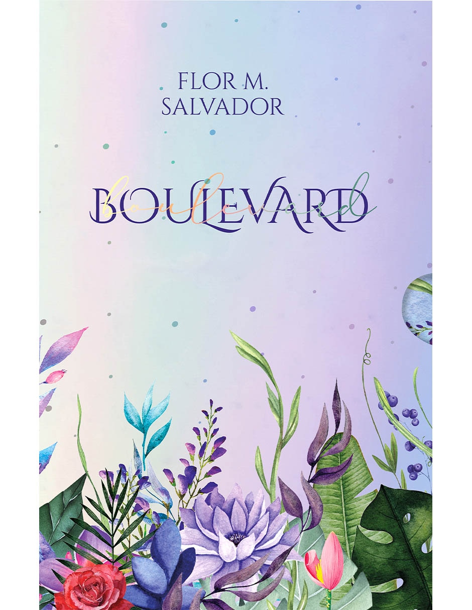 Libro PAQUETE BOULEVARD de FLOR M. SALVADOR Libro PAQUETE BOULEVARD de FLOR M. SALVADOR