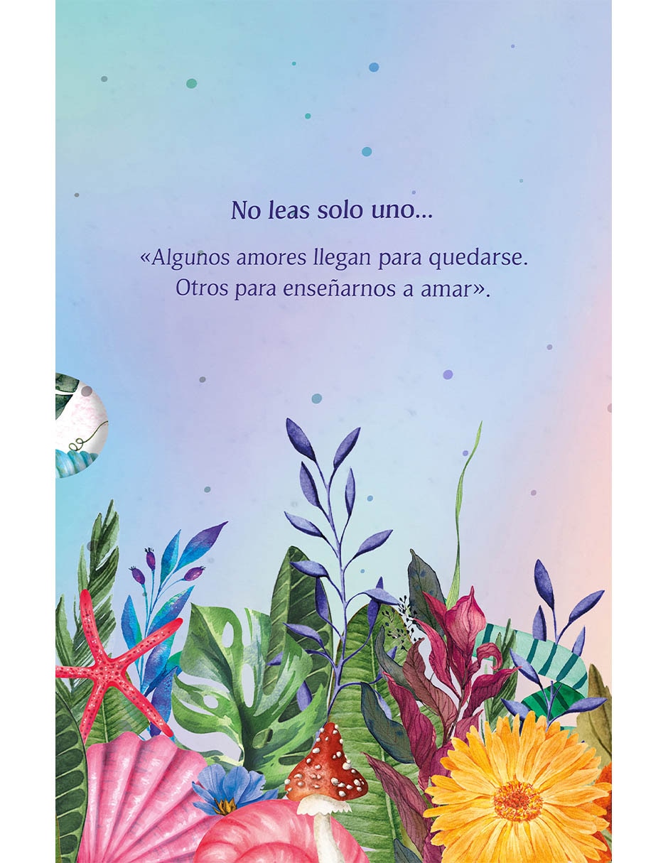 Libro PAQUETE BOULEVARD de FLOR M. SALVADOR 2