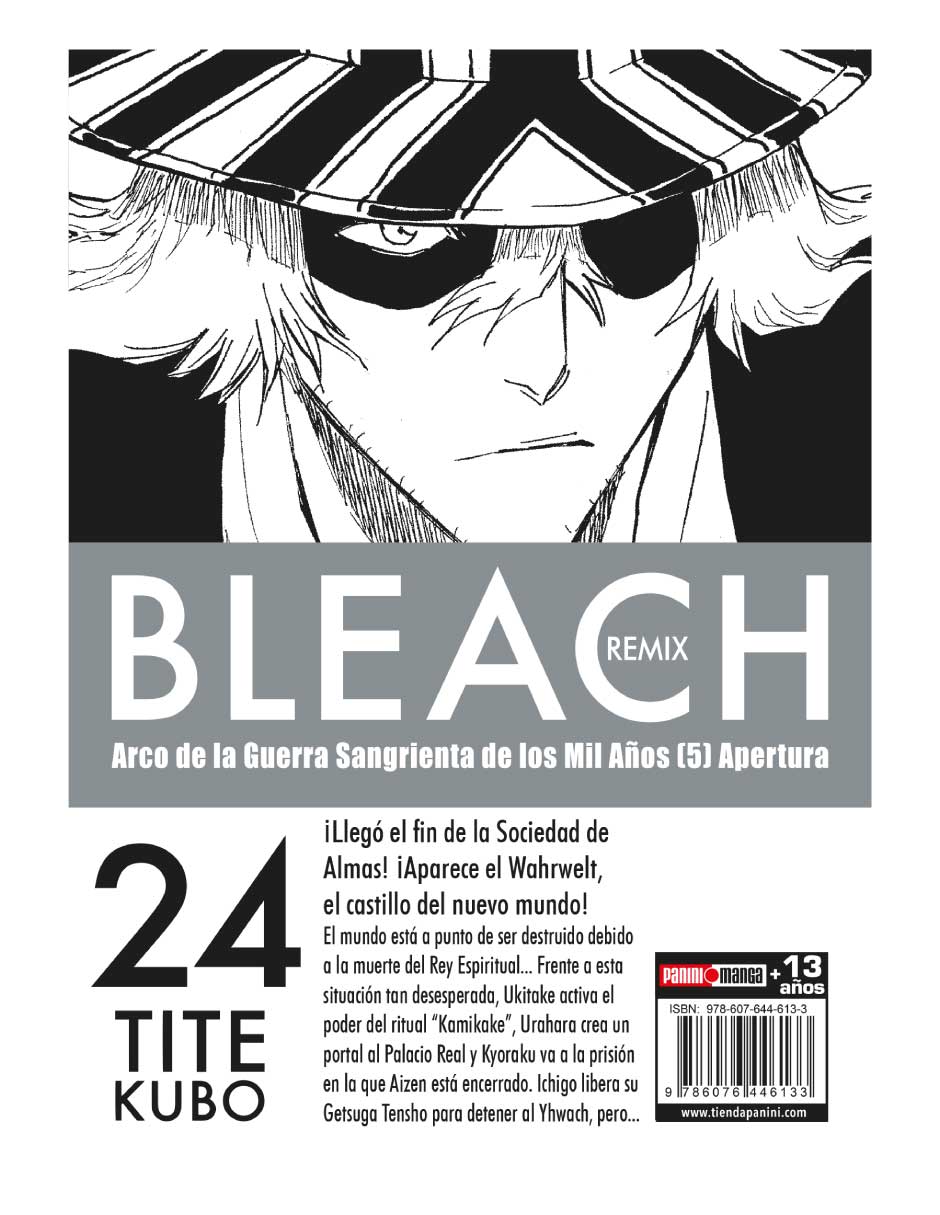 Manga bleach remix n.24 2