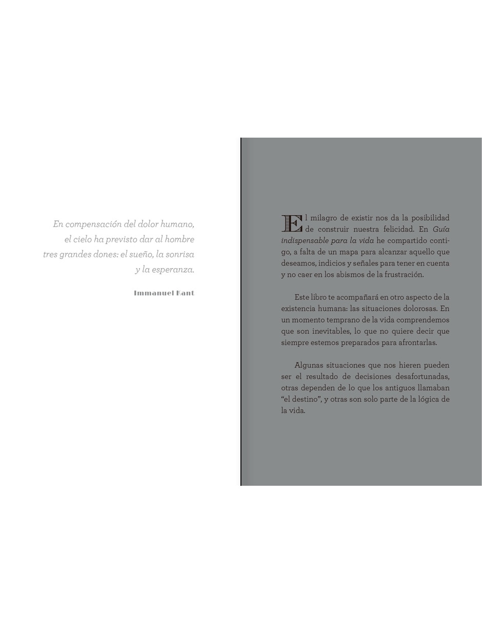Libro GUÍA IMPRESCINDIBLE PARA SUPERAR LOS DOLORES DE LA VIDA NUEVA EDICIÓN de Bernardi, Emilia 2