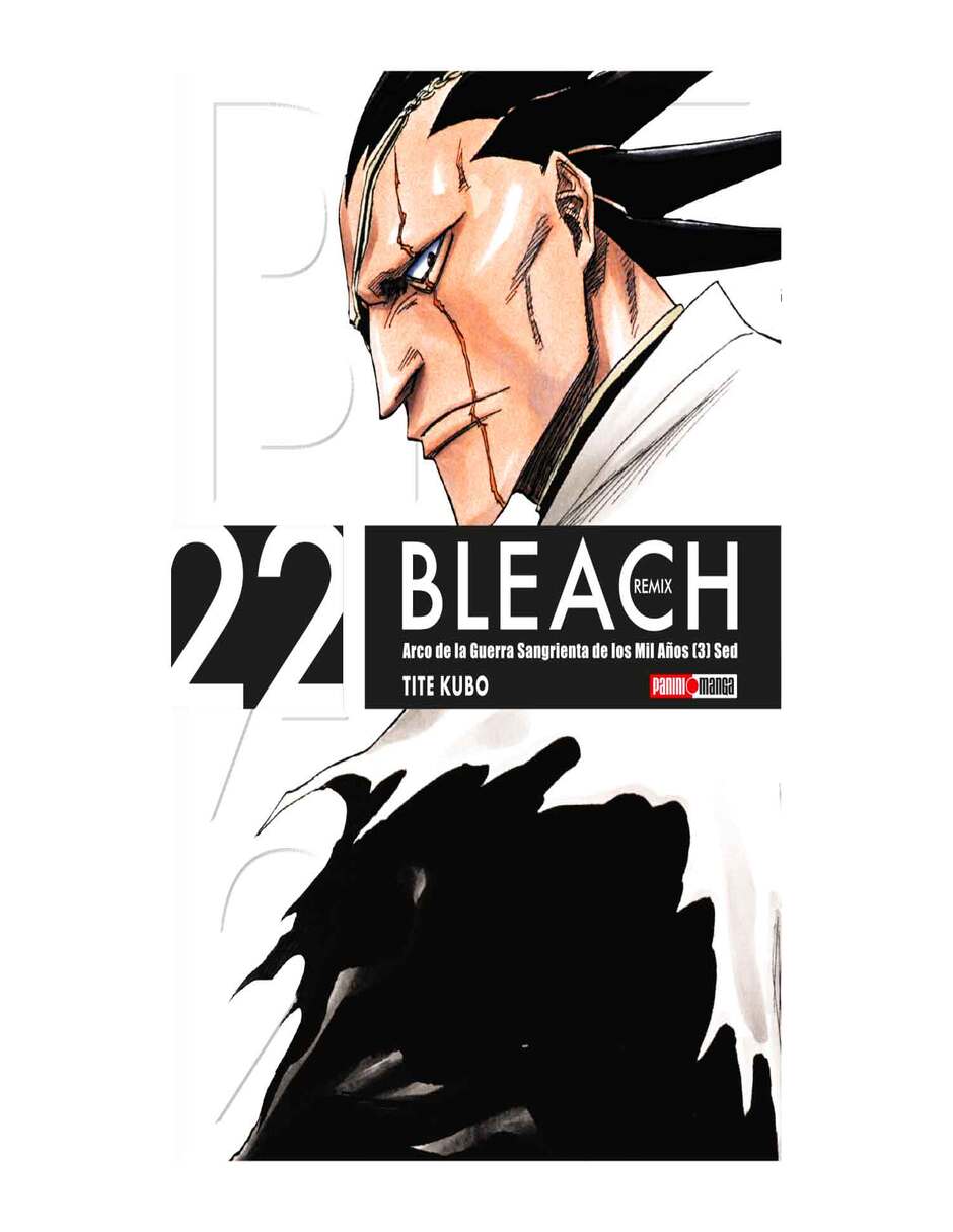 Manga bleach remix n.22