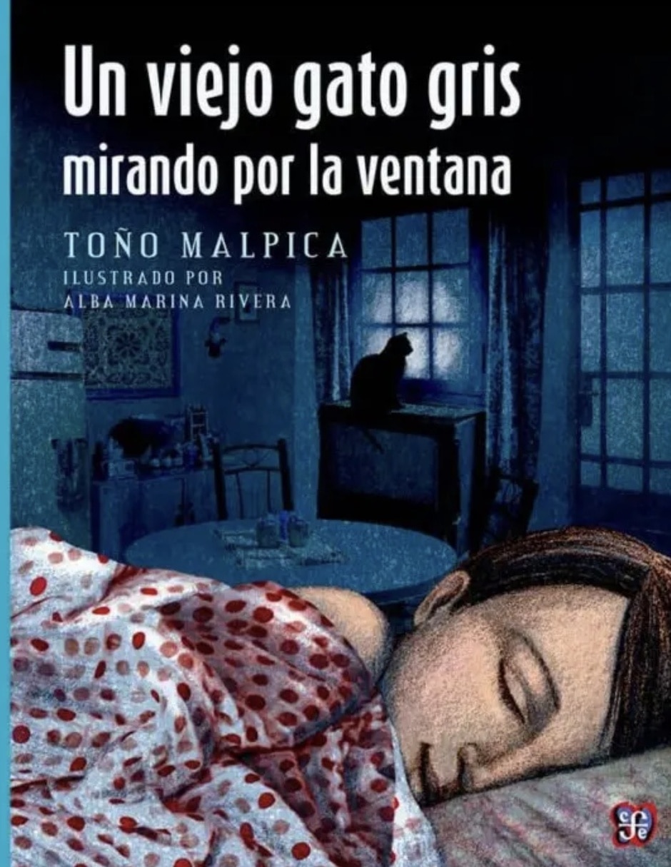Libro Un Viejo Gato Gris Mirando Por La Ventana de Toño Malpica