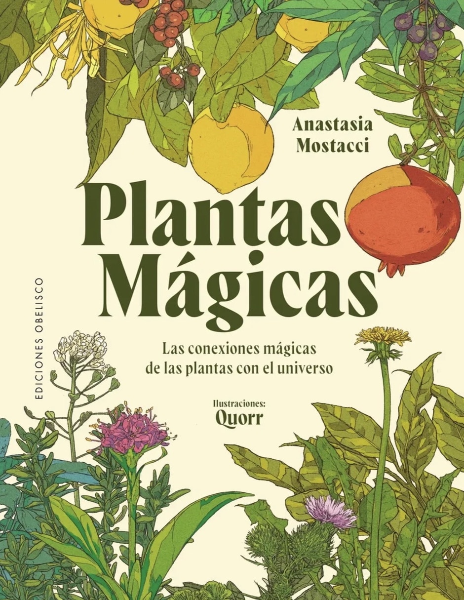 Libro Curiosonautas. El Universo Y Sus Secretos De Mostacci Anastasia