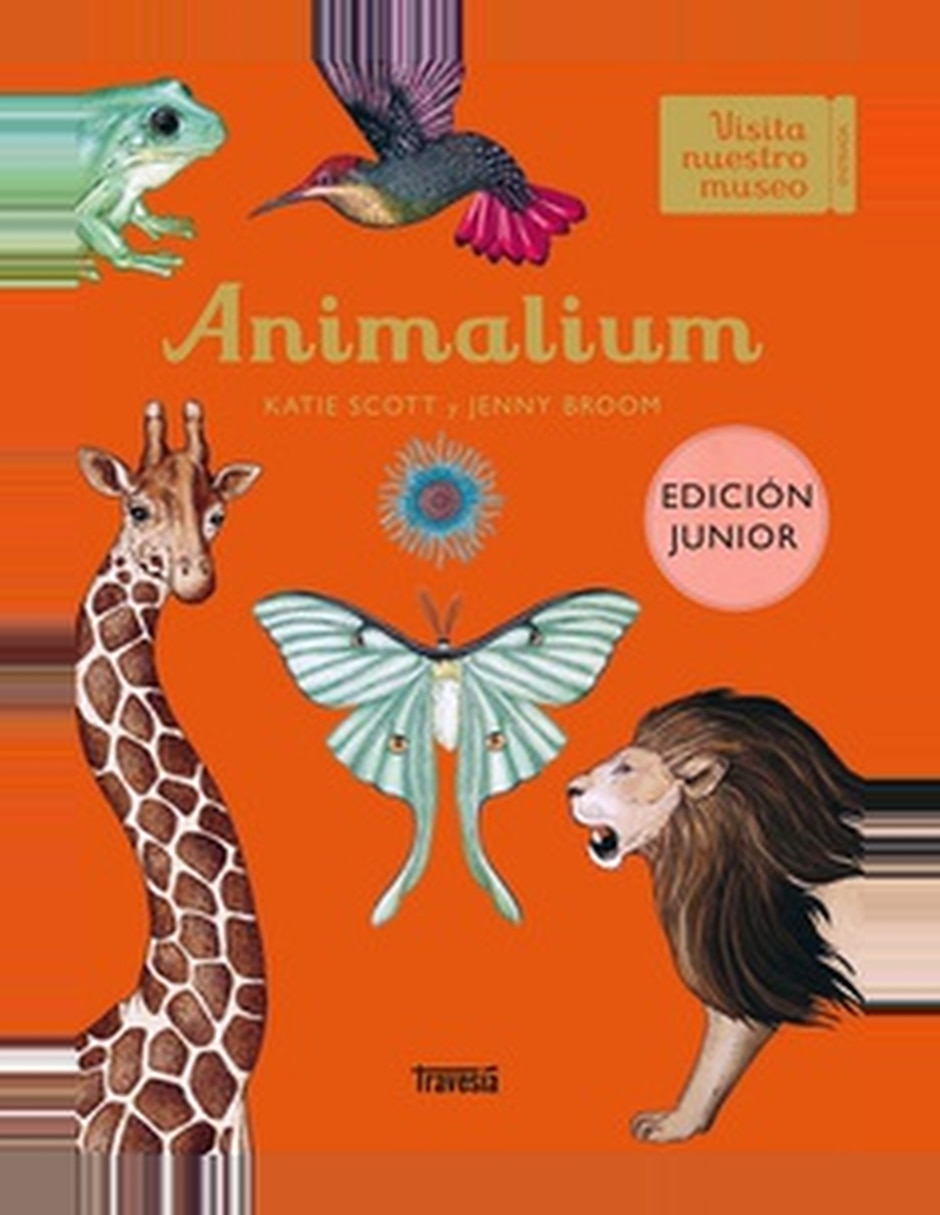 Libro Animalium De Katie Scott