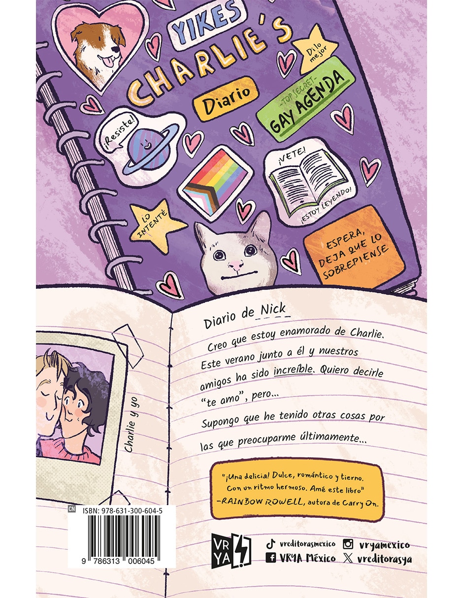 Libro Heartstopper 4 (Cantos Pintados) de Alice Oseman